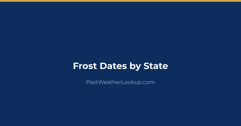 Frost on leaves in early morning light