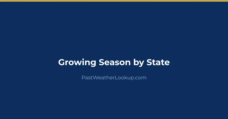 Vegetable garden in full summer growth